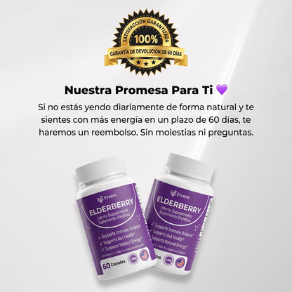 Elvera- Complejo para el Apoyo de la Salud Intestinal con Saúco, Zinc y Vitamina C
