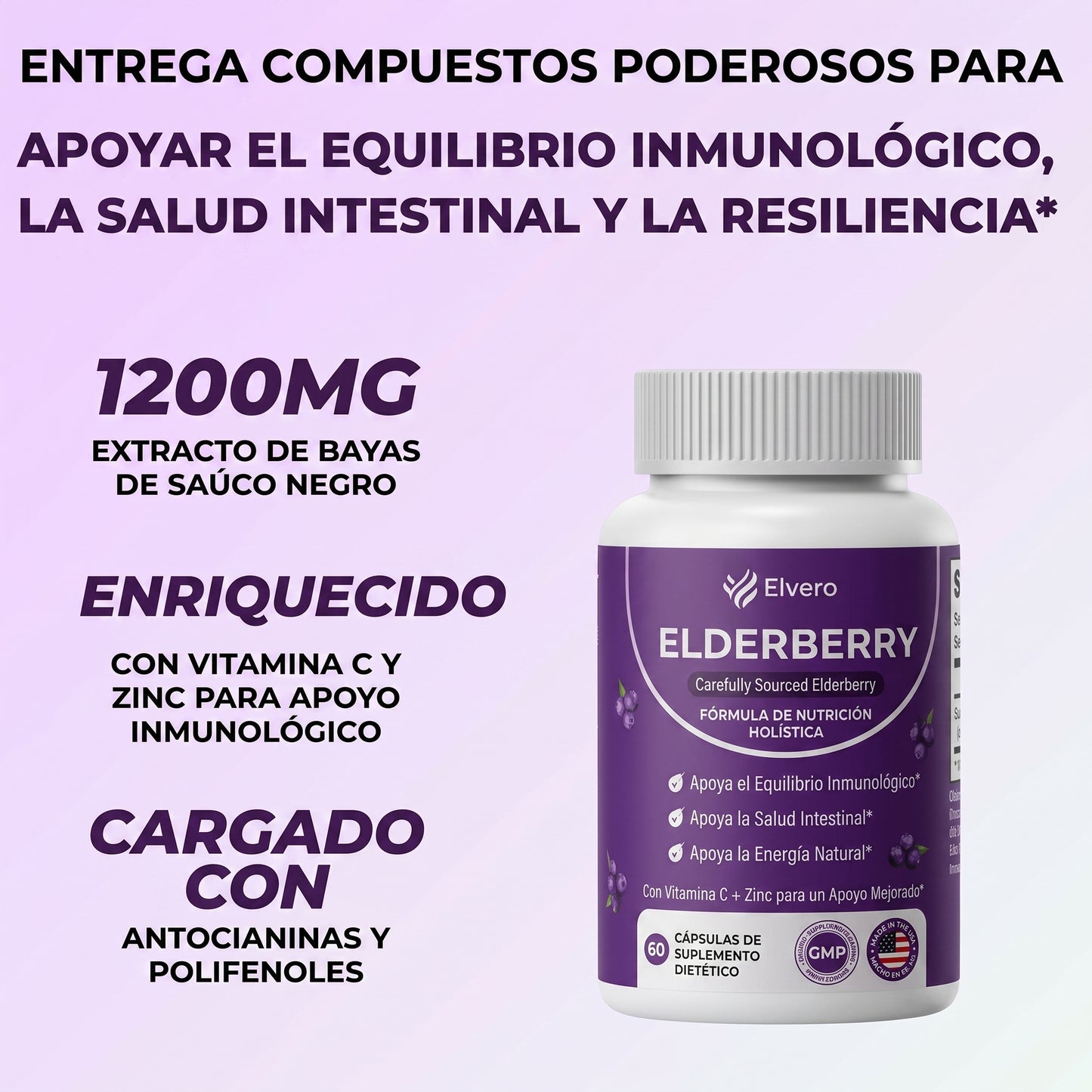 Elvera- Complejo para el Apoyo de la Salud Intestinal con Saúco, Zinc y Vitamina C